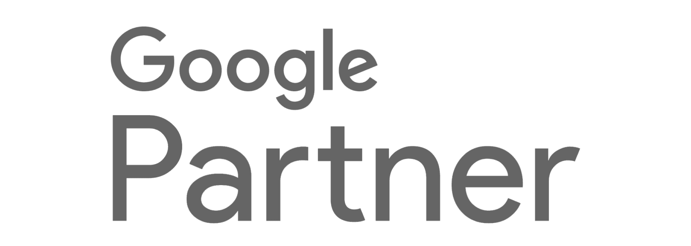 Google Partner