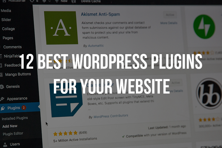 12 Best WordPress Plugin