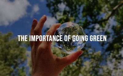 The Importance Of Going Green