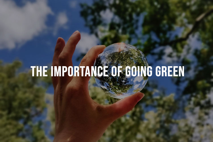 The Importance Of Going Green