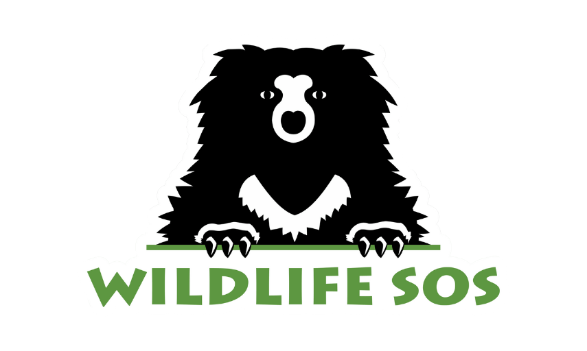 Wildlife SOS was established to make lasting changes to protect and conserve India’s natural heritage, forests, and biodiversity…