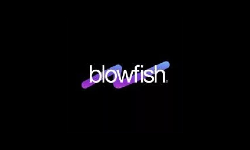 Blowfish, a renowned digital and creative solutions agency, offers top-notch design, digital and content …